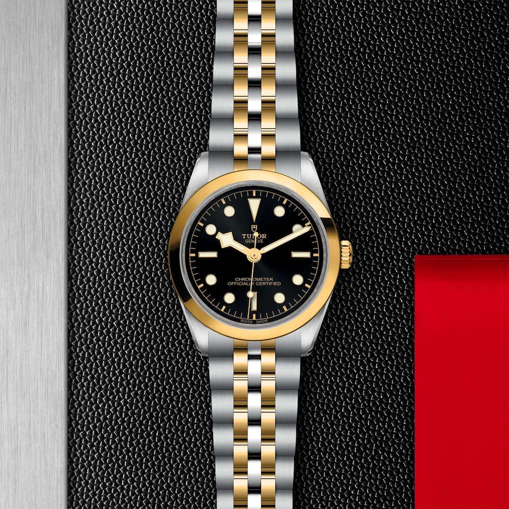 Tudor Black Bay One 36 S&G