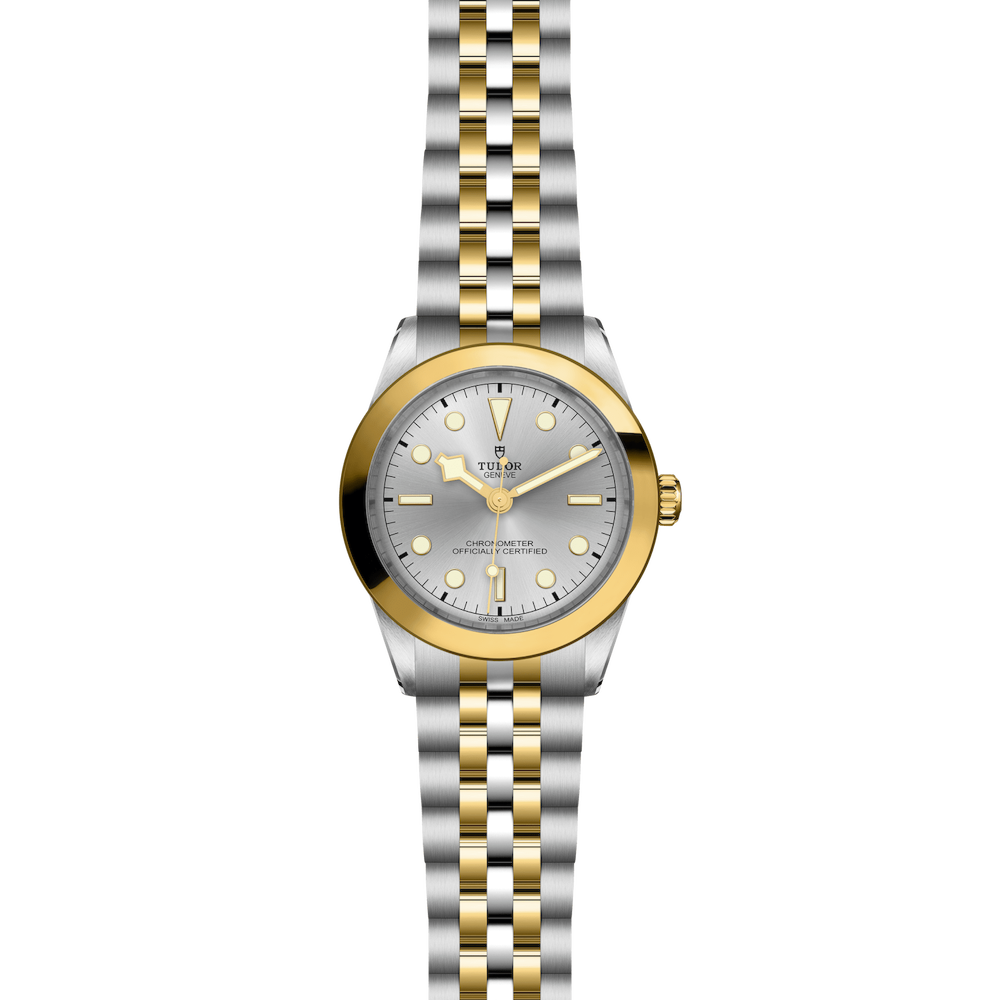 Tudor Black Bay One 39 S&G