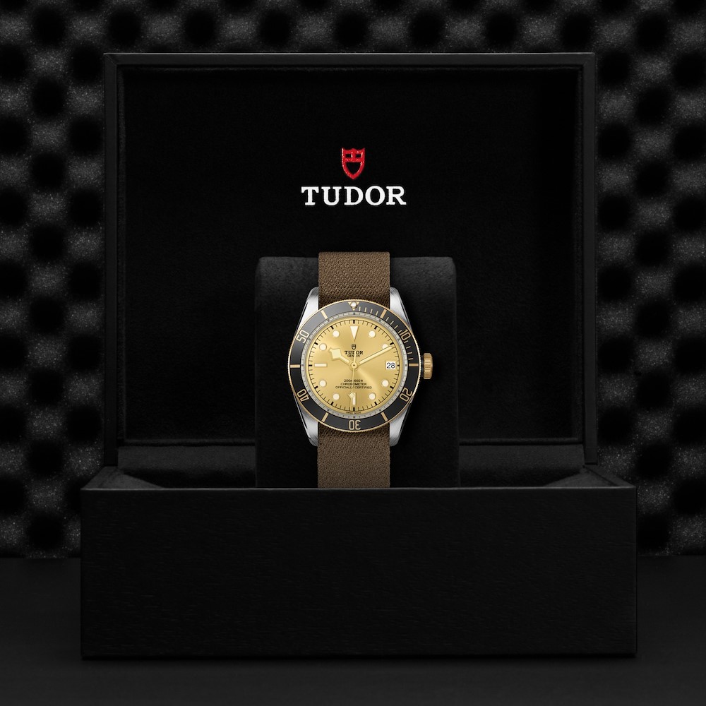 Tudor Black Bay S&G