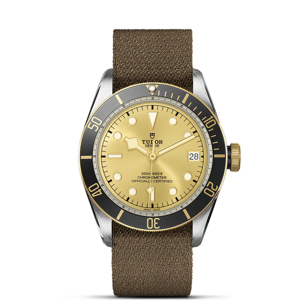 Tudor Black Bay S&G Ref. M79733N-0006