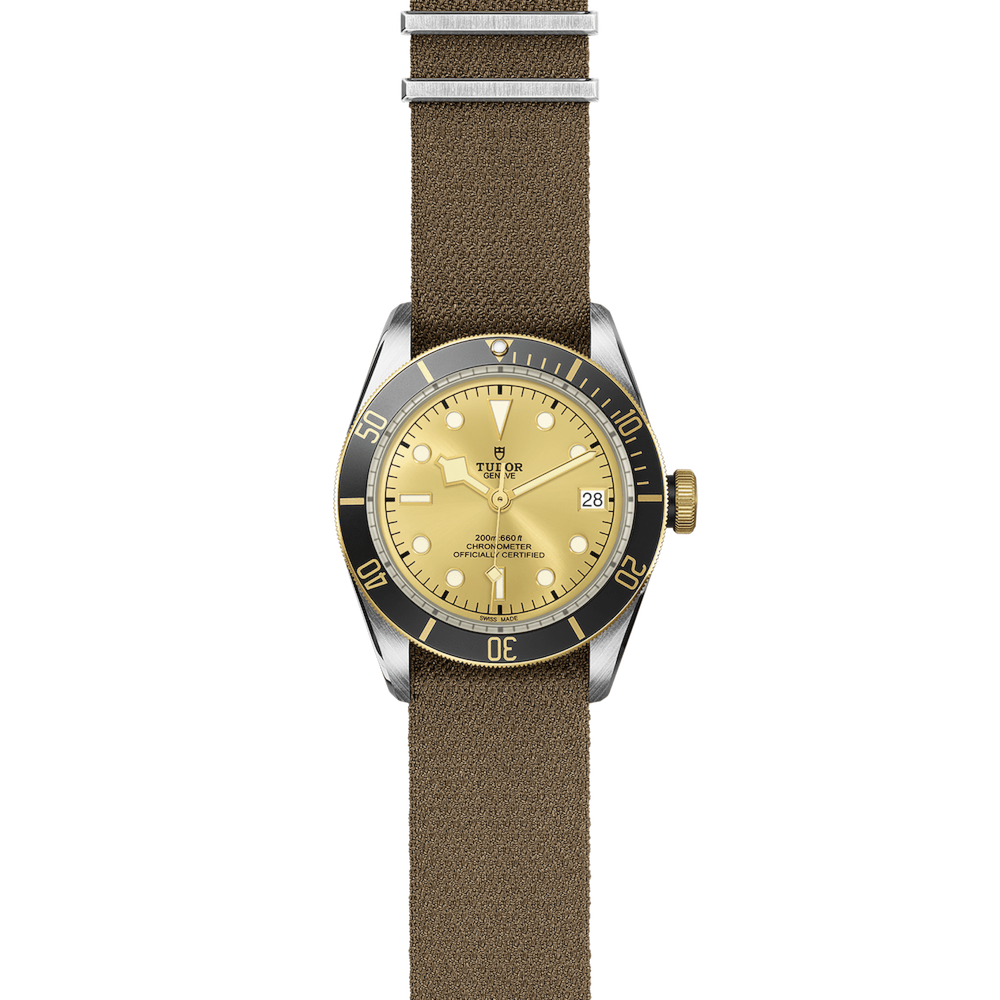 Tudor Black Bay S&G