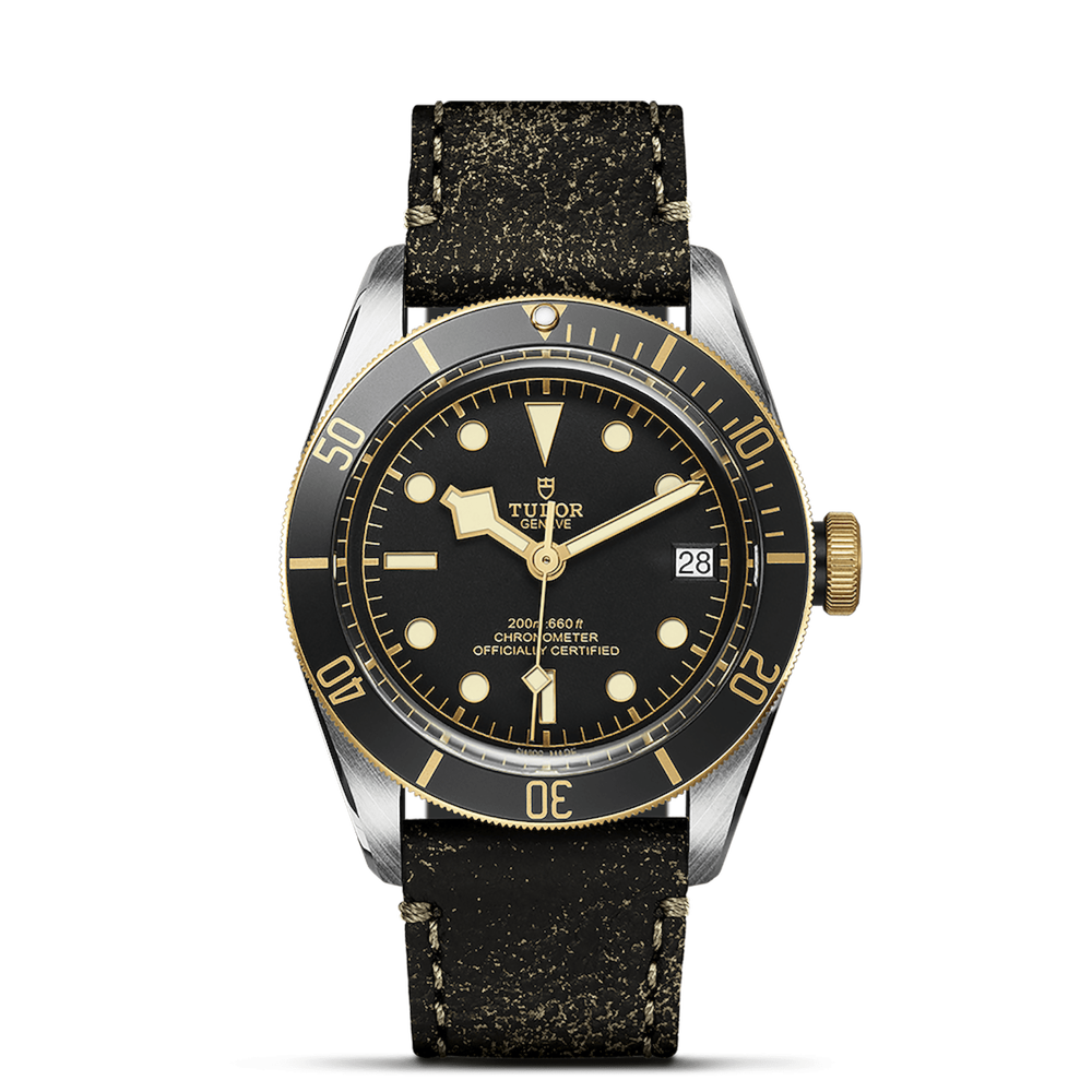 Tudor Black Bay S&G Ref. M79733N-0007
