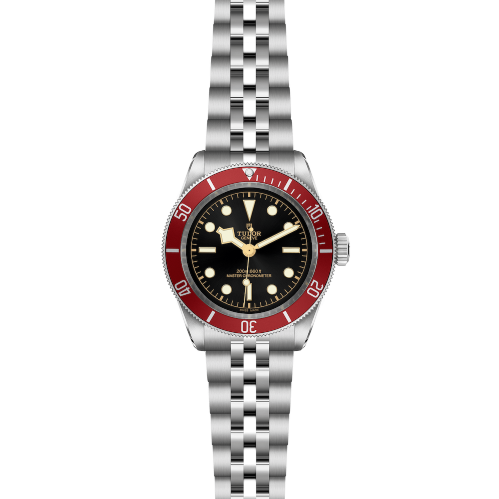Tudor Black Bay