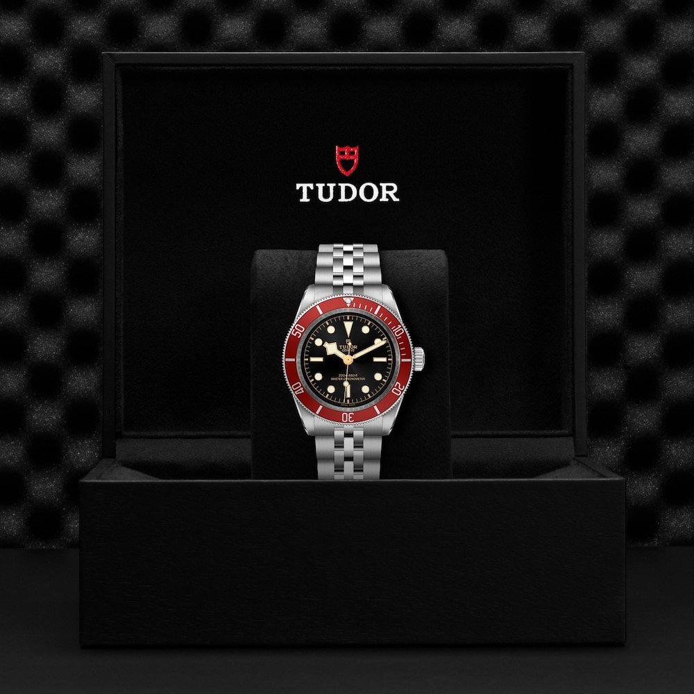 Tudor Black Bay