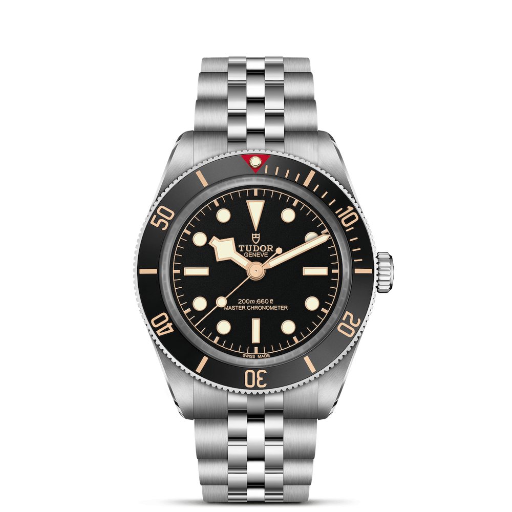 Tudor Black Bay 54 Ref. M7939A1A0NU-0001