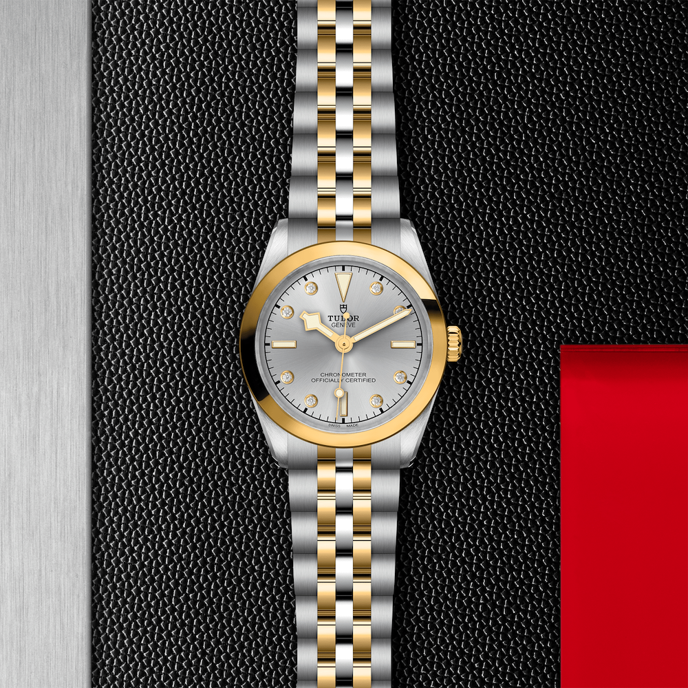 Tudor Black Bay One 31 S&G