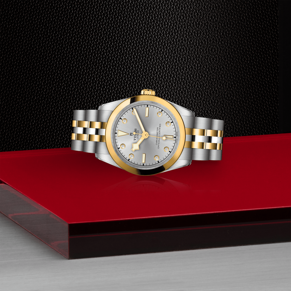 Tudor Black Bay One 31 S&G