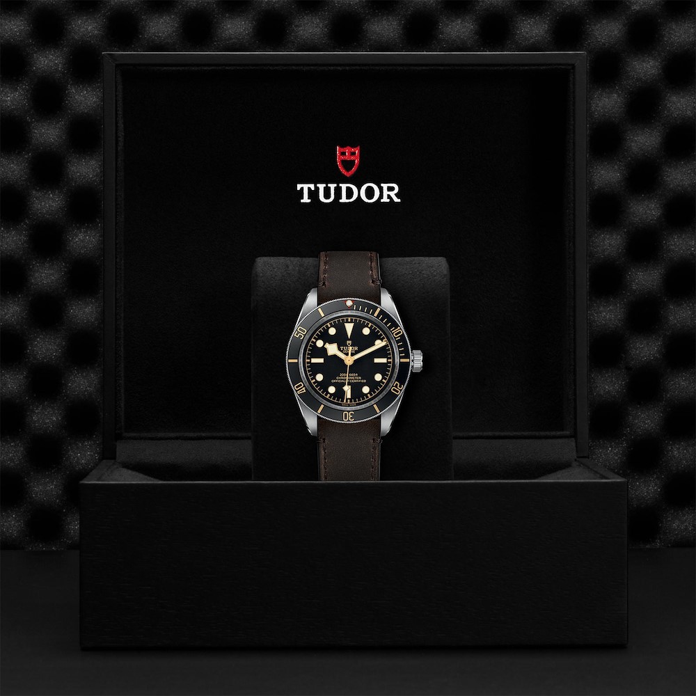 Tudor Black Bay 58