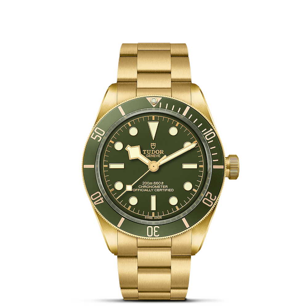 Tudor Black Bay 58 18K Ref. M79018V-0006