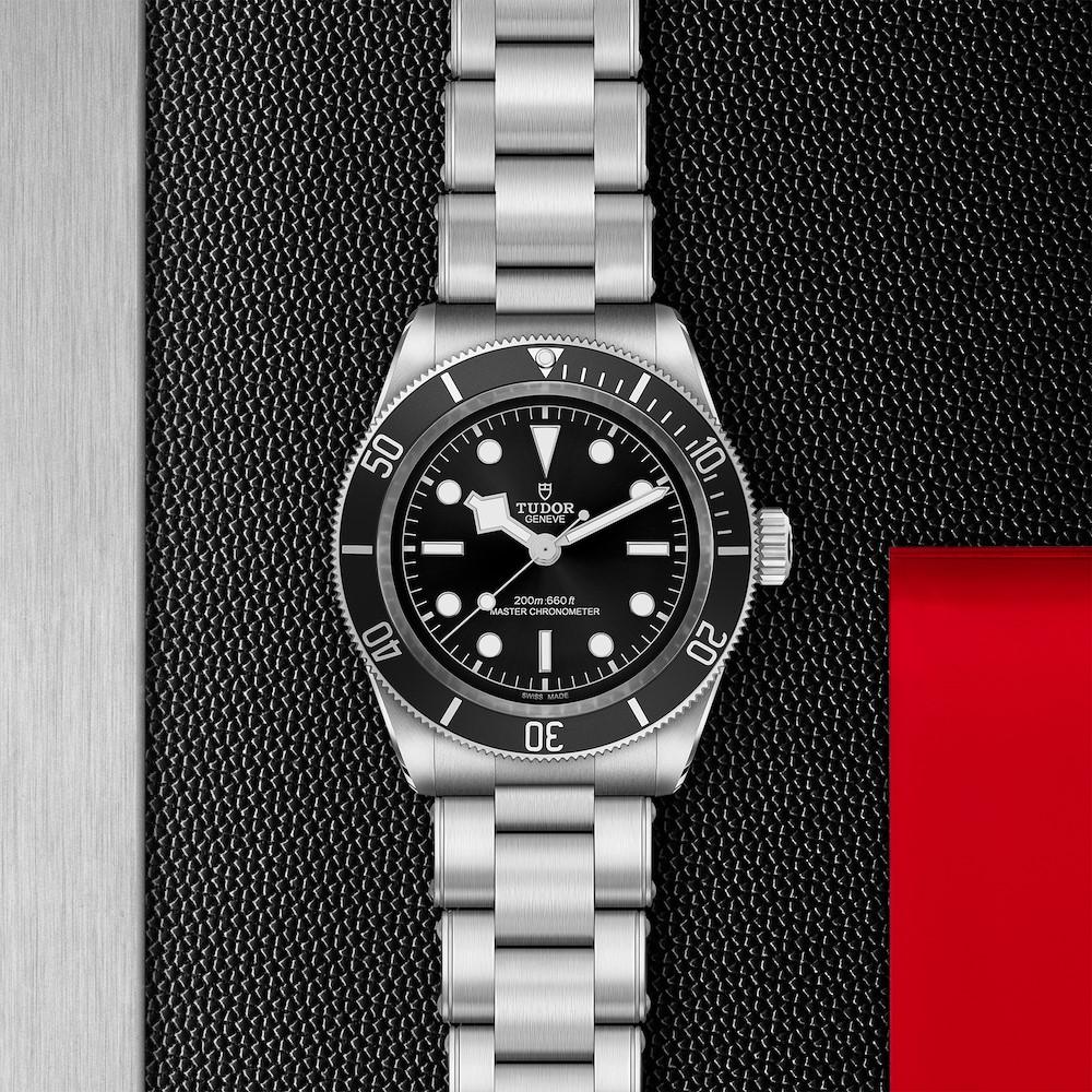 Tudor Black Bay