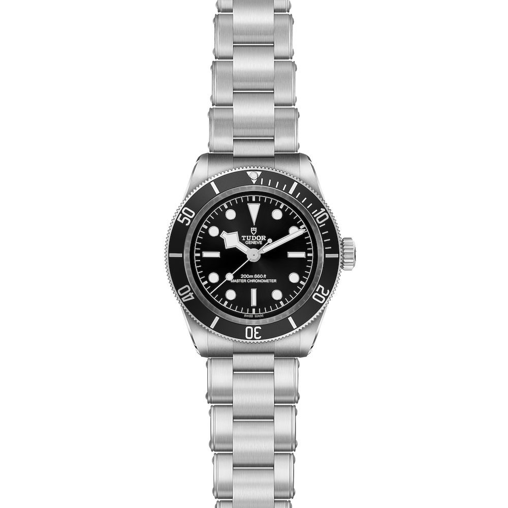 Tudor Black Bay