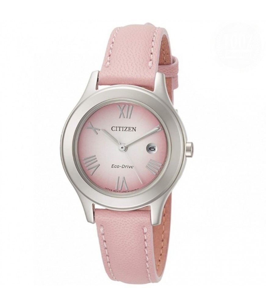 Citizen Eco-Drive Ref. FE1040-05W
