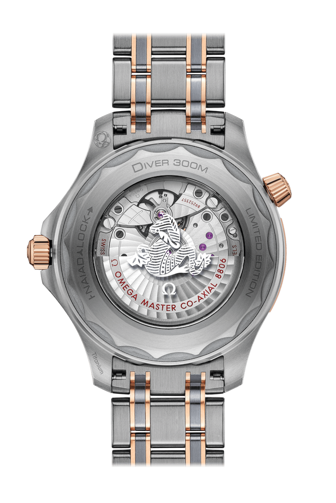 Omega Seamaster Diver 300M