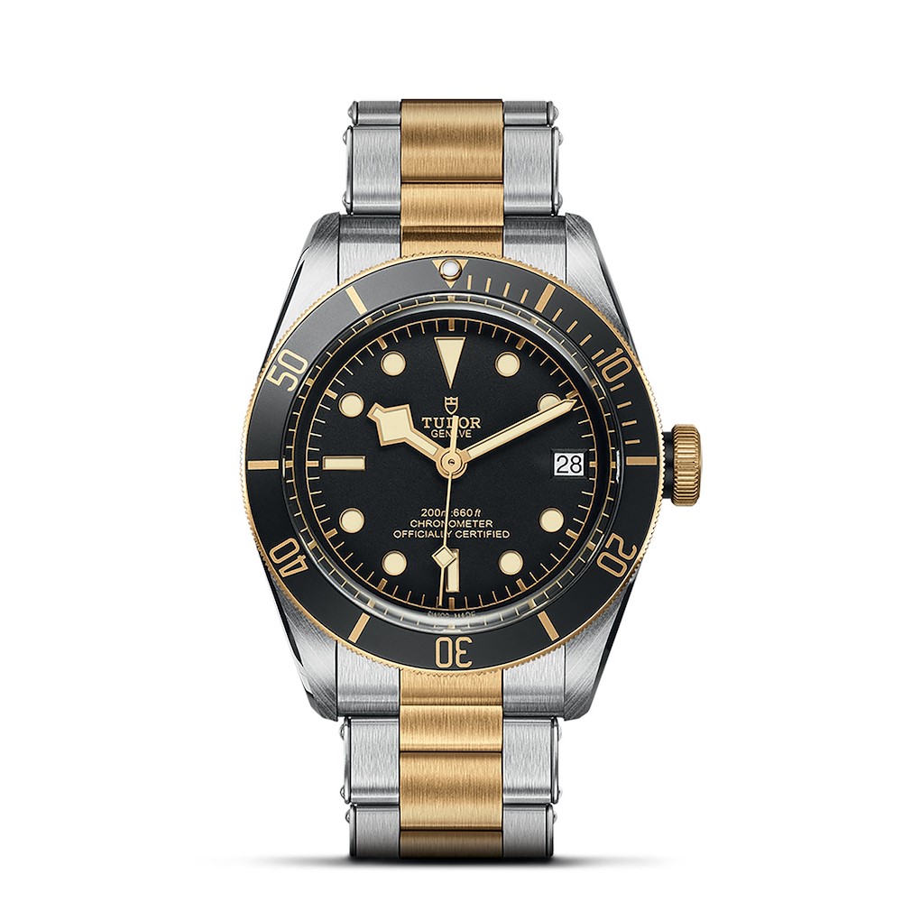 Tudor Black Bay S&G Ref. M79733N-0008