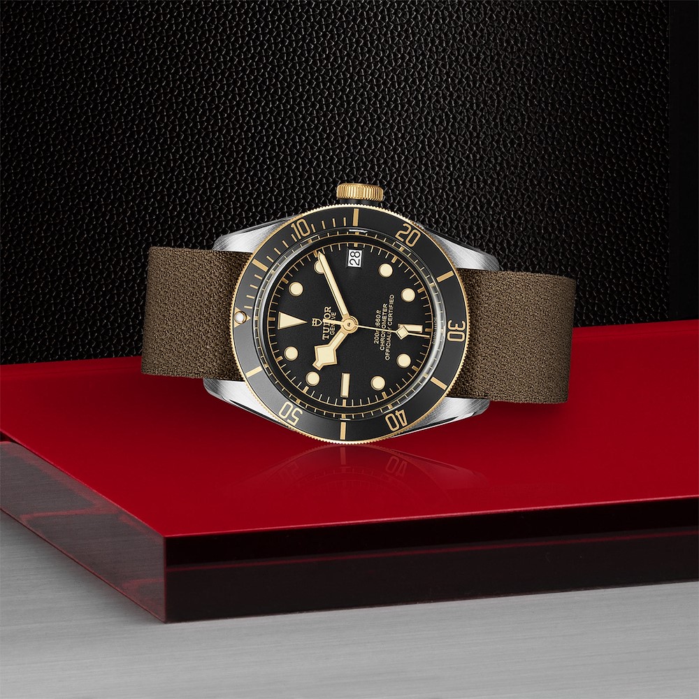 Tudor Black Bay S&G