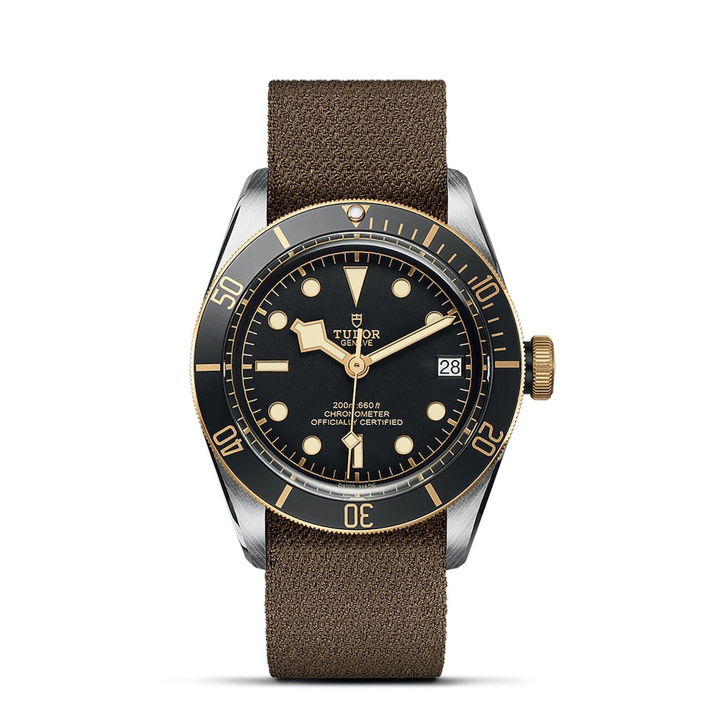 Tudor Black Bay S&G Ref. M79733N-0005