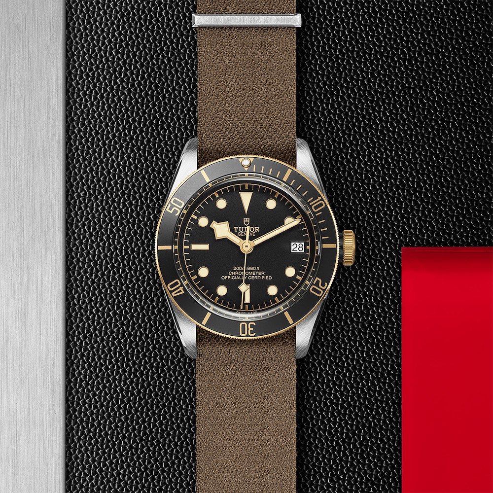 Tudor Black Bay S&G