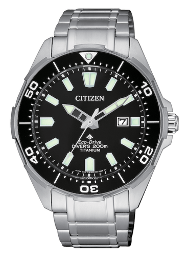 Citizen Divers
