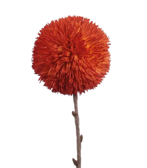 L'Oca Nera Allium arancio