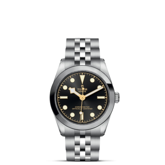 Tudor Black Bay 31