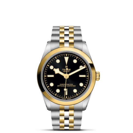 Tudor Black Bay One 36 S&G