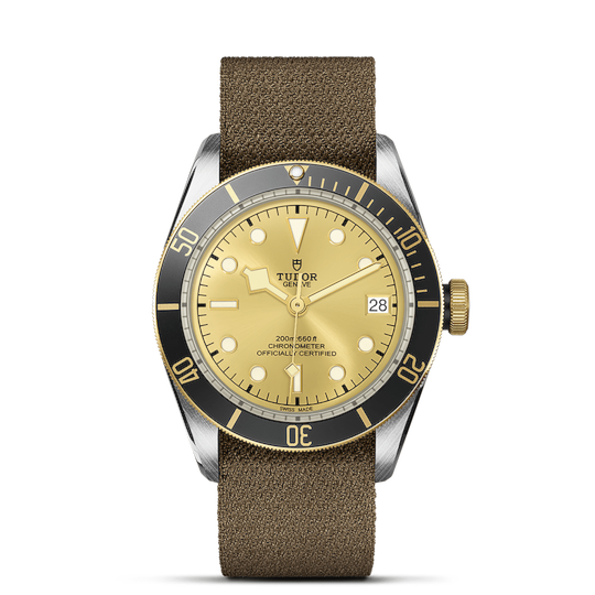 Tudor Black Bay S&G