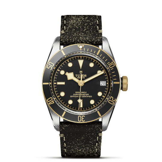 Tudor Black Bay S&G
