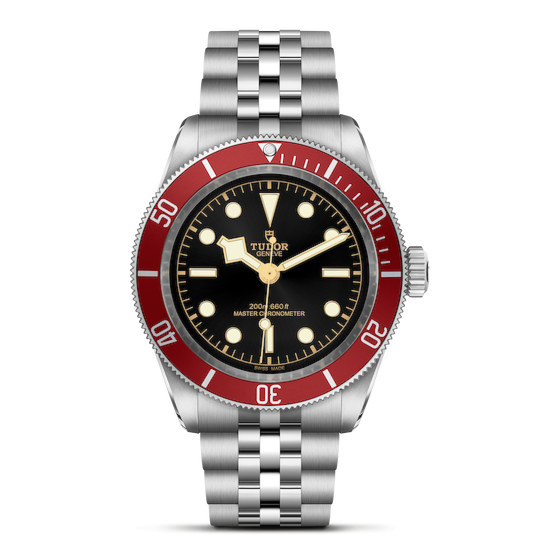 Tudor Black Bay