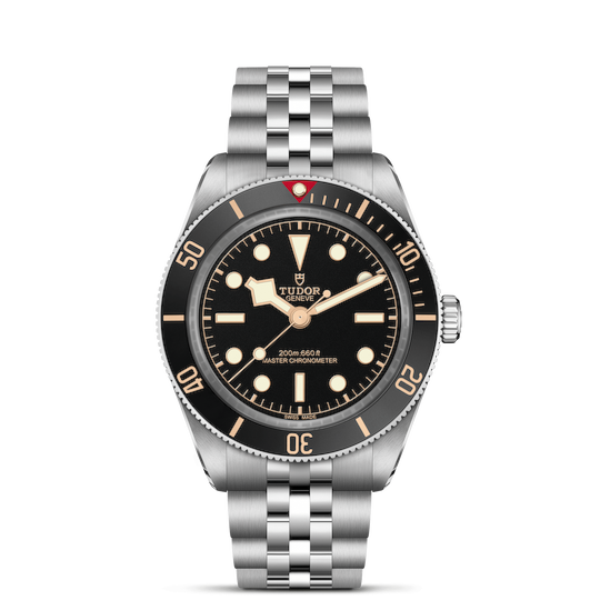 Tudor Black Bay 54