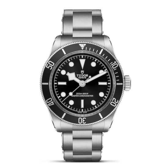 Tudor Black Bay
