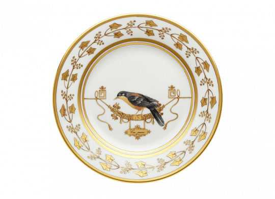 Richard Ginori Piatto Pane Volière Cou Jaune