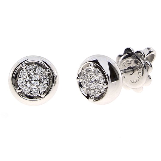 Salvini Daphne 20077056