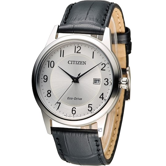 Citizen Metropolitan