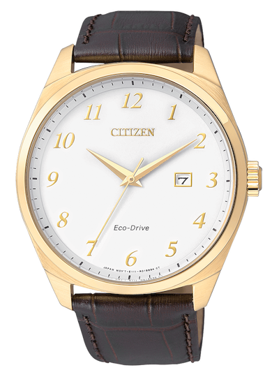 Citizen Metropolitan