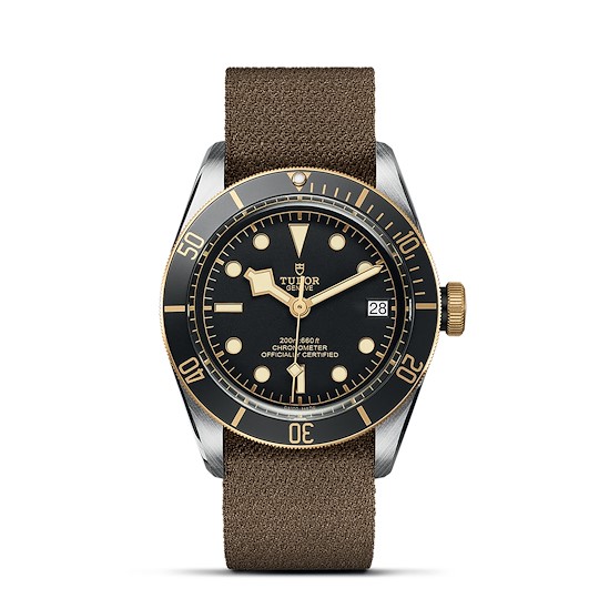 Tudor Black Bay S&G