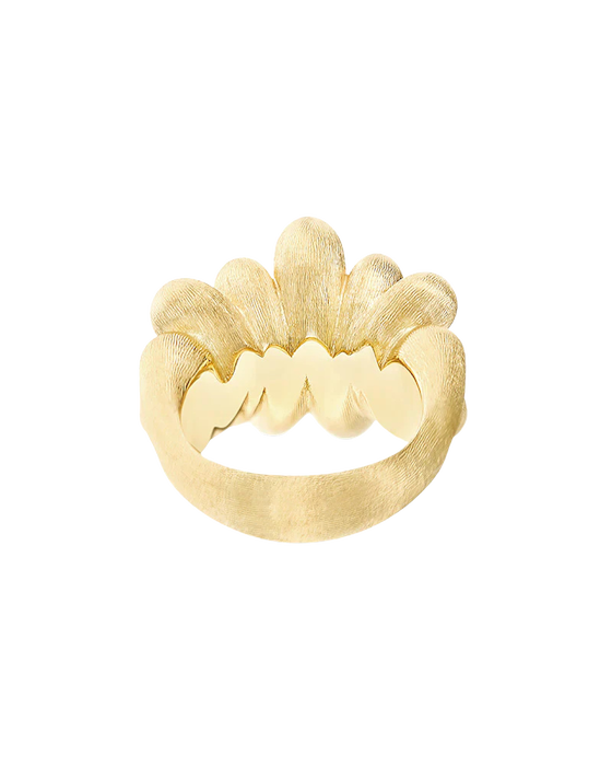 Nanis Trasformista Anello