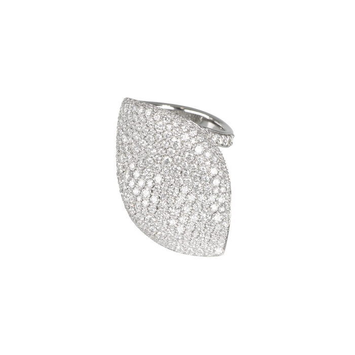 Pasquale Bruni Aleluiá Anello