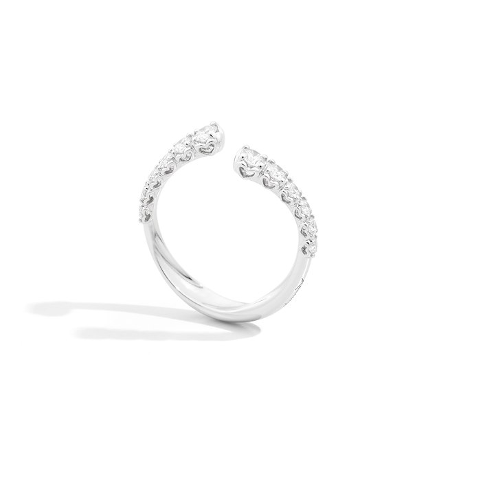 Anelli R01FN009/066-15