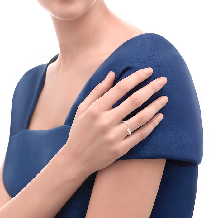 Anelli R01FN009/066-15