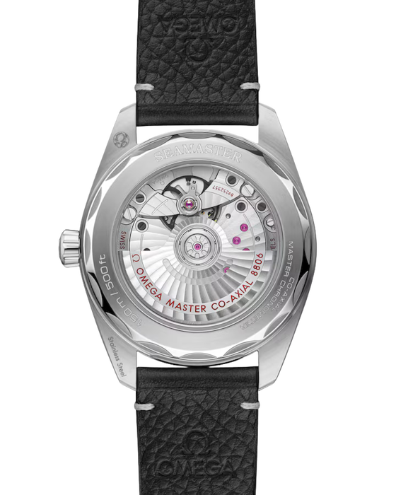 Omega Seamaster Railmaster