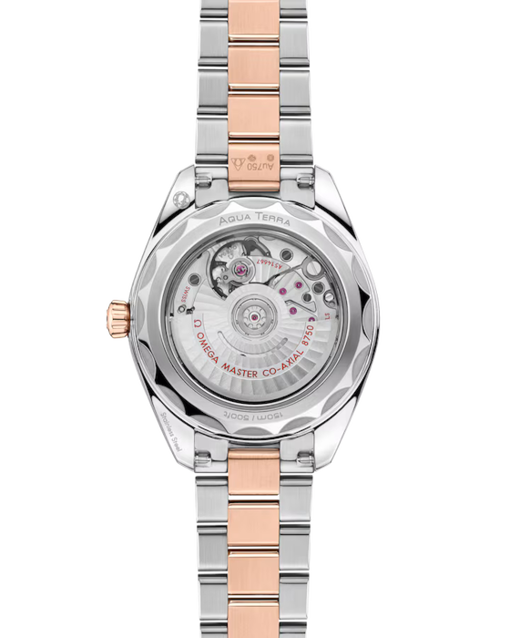 Omega Seamaster Aqua Terra 150M