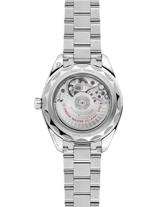 Seamaster Aqua Terra 150M