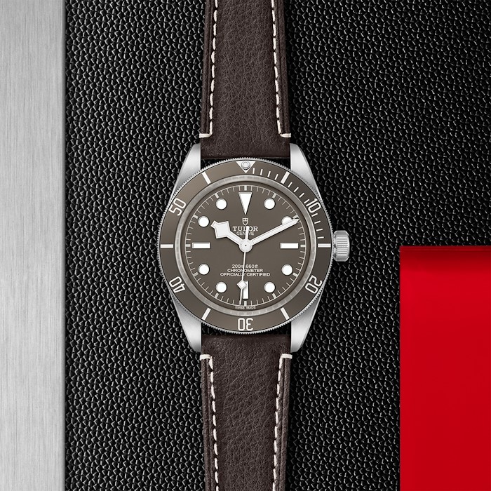 Tudor Black Bay 58-925