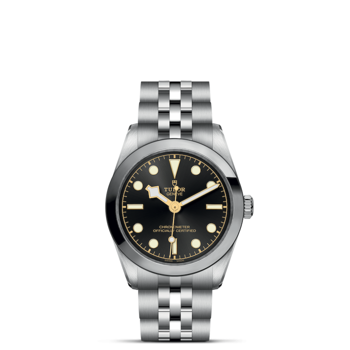 Tudor Black Bay 31