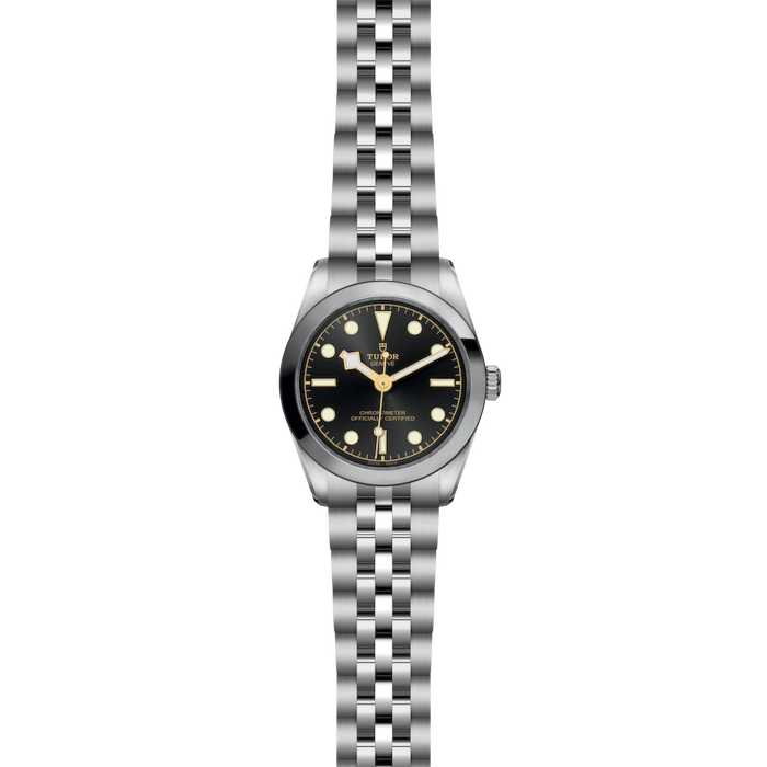 Tudor Black Bay 31
