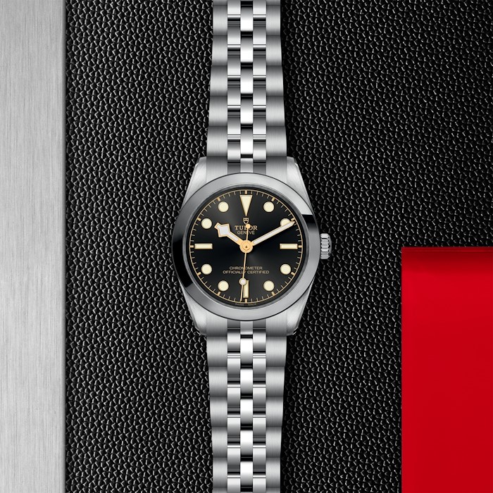 Tudor Black Bay 31