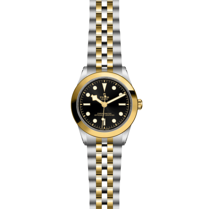 Tudor Black Bay 39 S&G