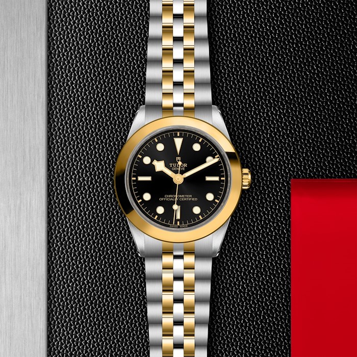 Tudor Black Bay 39 S&G
