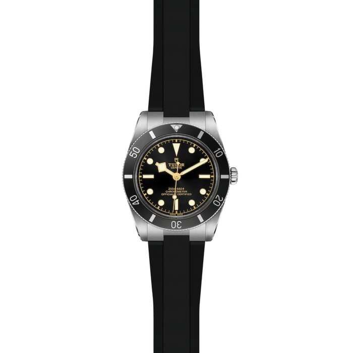 Tudor Black Bay 54
