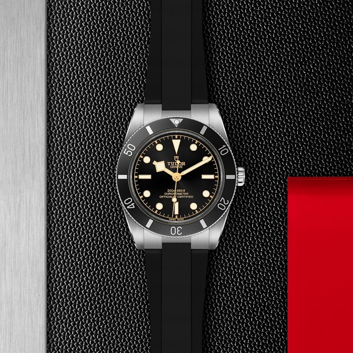 Tudor Black Bay 54